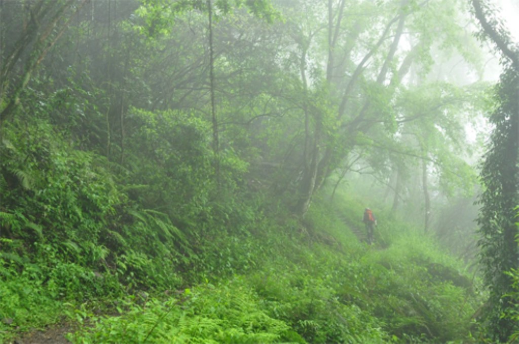 霞喀羅步道-圖片來源 台灣山林悠遊網